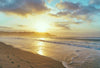 Golden Sunrise at Bondi